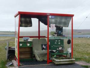 shetland 035