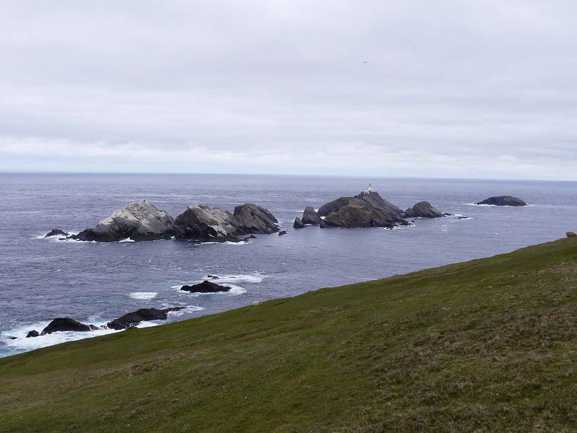 shetland 046