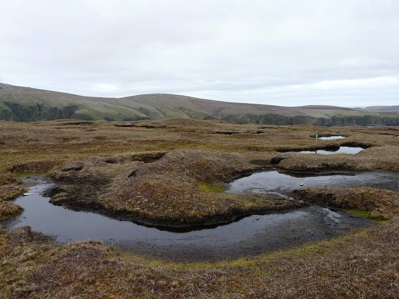shetland 047