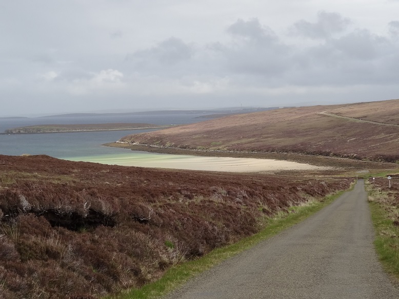 Orkney 2015 (585)