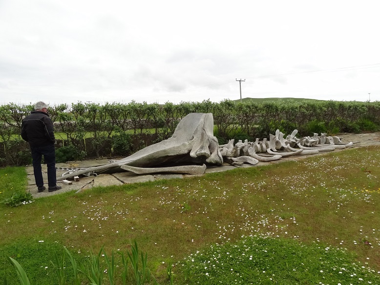 Orkney 2015 (739)